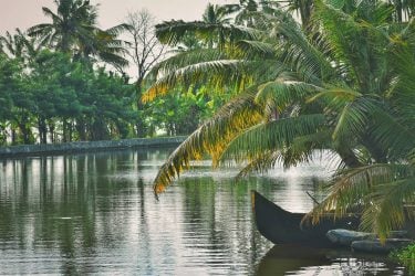 #kerala #alleppey #nikon #nikond3400 #yesindia #shutterbug #shutterbugs #shutterbugsindia #lenscaptureofficial #indianshutterbugs #indiaclicks #indiafeatures #travelindia #traveling…