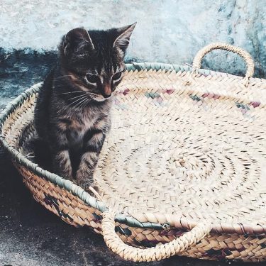 Chefchaouen, uno de mis lugares favoritos del mundo, @lunadesantiago creo que también se ha…