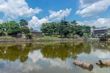 Un #panorama di #nara durante il viaggio con @nerdkitchen #instatravel #travelmemories #lifeofexploring #travelingram #travelgram…