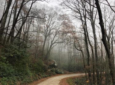 Moving through the fog of life battling fears with thoughtful conversation. A recent is…