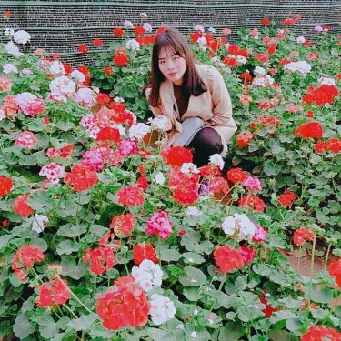 #flowers #travelwriter #travel #instatravel #travelgram #tourism #instago #passportready #travelblogger #wanderlust #ilovetravel #writetotravel #instatravelling #instavacation…