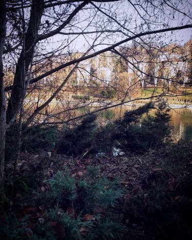 Instagram photo