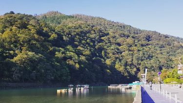 Into the woods. . #Arashiyama #Kyoto #Kansai #Japan #travel #travelgram #instatravel #wanderlust #visitjapanjp #JapaneseCulture&hellip;