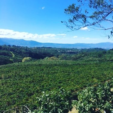 In the beautiful fields of Costa Rica @grandfamilyadventures @grandfamilyadventures @grandfamilyadventures #travel #beautiful #luxury #costarica&hellip;