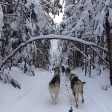 #winter #kanathaaki #canada #travel #traveller #travelforlife #travelforever #travelphotography #travelvideo #travelblogger #mustdotravels #amazingplaces #travelactivities #thingtodo…