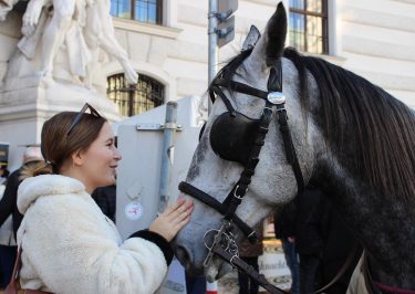 In my element, baby talking to a horse, making an old man laugh at…