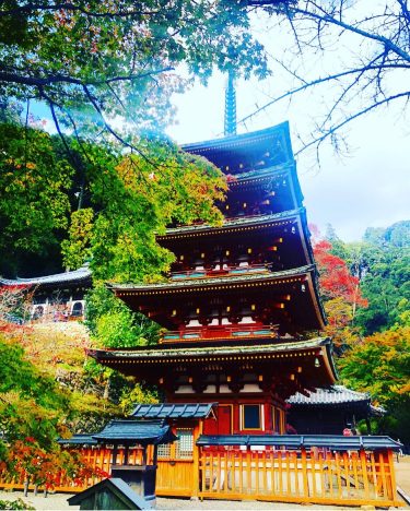 Nara, Japan, November 2018 2/3 #bnesimppl