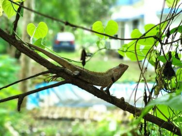 #mobile_photography__ #mobile_photography #phone_photography #mobile__photography___ #mobile_photographyofficial #mobile__photography__ #world_photography_page #gods_beauty_shines #godscreatures #godscreation #photo #picsart #photographers_of_india #awesome.photographers…