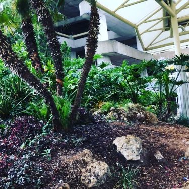 Orlando, Florida @grandfamilyadventures @grandfamilyadventures @grandfamilyadventures #travel #nature #explore #vacation #mco #orlando #florida #familytrips #familyvacation…