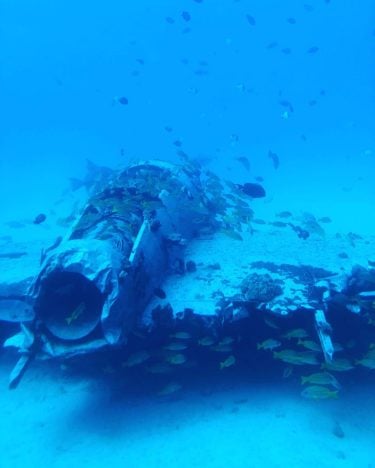 It’s not everyday that you get to take a submarine 100ft below the surface…