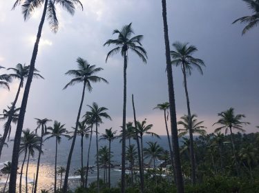 One day I’m gonna make the onions cry. #sunset Mirissa (Sri Lanka) 2018 .…