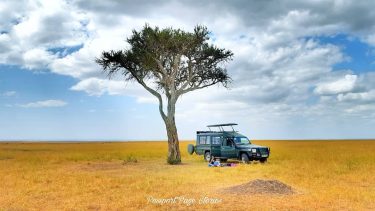 A picnic lunch in the wilderness of Masai Mara, Kenya . Kenya ???????? will…