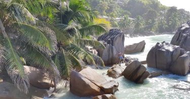 #ladigueisland #travel #seychelles #friends #travelphotography #travelpic #visitseychelles #climbing #palmbeach #bluewater #ladigue #travelblogger #travelphoto #travelistolive…