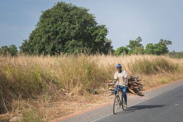 Even though the sub-tropical climate gives Gambia an average daytime temperature of 32 Celsius,…