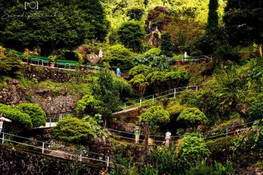 | | Rock Garden Of Darjeeling | | Nikon D5200, 50mm – #bnesimppl #eyewinawards…