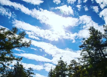 A wonderful fresh morning is best for hiking