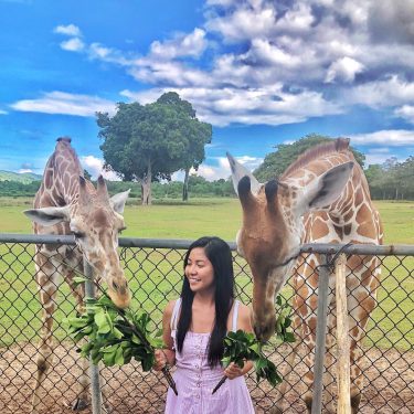 GIRAFFE ka ba?……………….Kasi gusto kitang makasama sa GIRAFFE man o GINHAWA????????? #Hugot101 Calauit Safari…