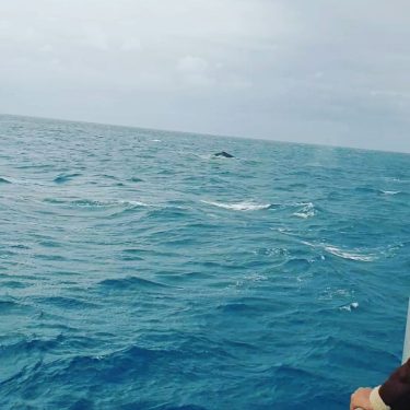 It was a rainy and windy day. Sea was so choppy but captain of…