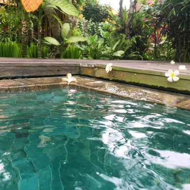 Swimming pool goals