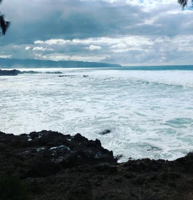 “The sea, once it casts its spell, holds one in its net of wonder…
