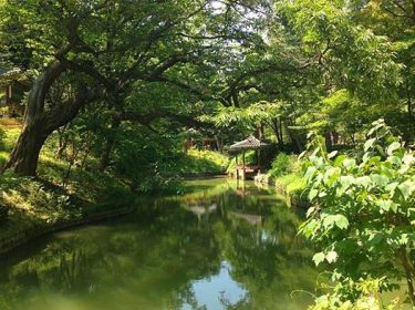#changdeokgung #contemplation #explore #twmd #bnesimppl #iseoulu #korea #seoul #wanderlust #travelbug #travelgram #koreatrip #seoul_korea #soulofseoul…