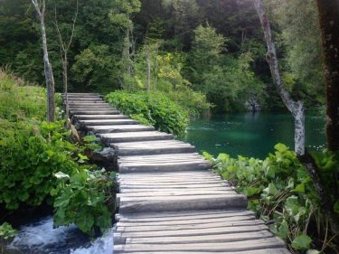 #plitvicelakes #lakes #waterfall #croatia #green #forest #summer #travel #explore #travelblogger #bnesimppl #instagram #instagood #photography…