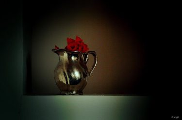 #fotoartistiche #bnesimppl #fotartplgz #pierluigizag Edited with: @carbonblackandwhite _ #instagrammers #igers #instalove #instamood #instagood #followme&hellip;