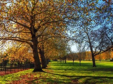 Windsor | Travel 2018 #visitlondonofficial #thelondonlifeinc #london4all #photosofbritain #ukpotd #ilovelondon #discoverlondon #travelholics #uk_shots #traveladdicts…