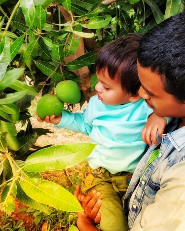 The little guy wondering wether it is a ball or a fruit #baby #cutipie…