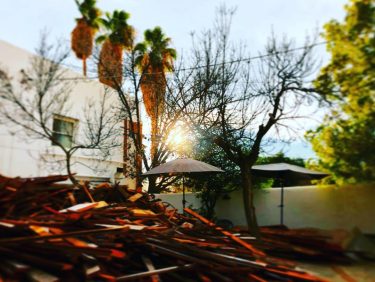 #wood #citiesofdreams #afternoon #trees #palms #sourcedadventures #twmd #wanderingcities #bnesimppl #bestcitymoments #wanderlust #reconstruction #contemplation #reflection…