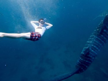 Just chilling with my new friends #whaleshark #chilling #bigbluesea #bigandfriendly #underthesea #waterphotography #travelexploring #travelling…