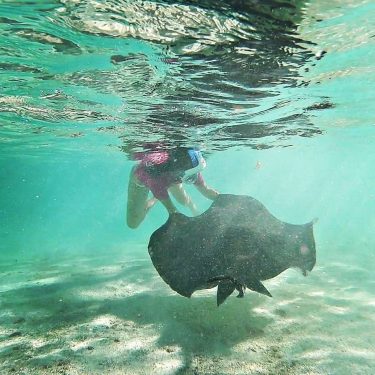 Me and my new friend ️ . . . . #stingray #stingraycity #antigua #antilles…