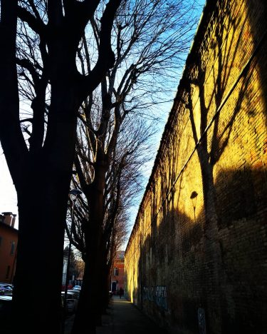 #bologna #bologna_city #bolognainside #succedesoloabologna #bolognawelcome #welcometobologna #volgobologna #bellabologna #igersbologna #igers_bologna #ig_bologna #vivibologna #lamiabologna #mybologna…