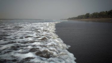 You can either see yourself as a wave in the ocean or you can…