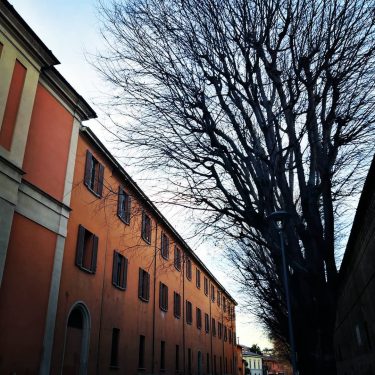 #bologna #bologna_city #bolognainside #succedesoloabologna #bolognawelcome #welcometobologna #volgobologna #bellabologna #igersbologna #igers_bologna #ig_bologna #vivibologna #lamiabologna #mybologna…