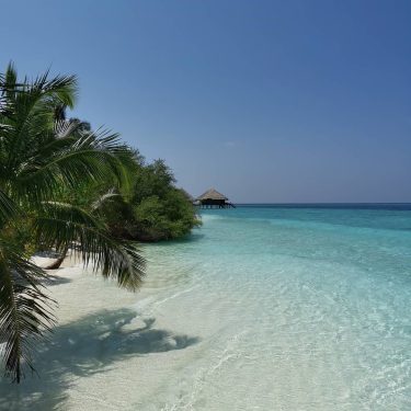 Maldive ️???????? #maldives #nofilter #rannalhi #mare #sole #caldo #palma #sea #sun #sunset #beach #white…