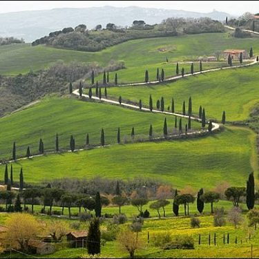 #Toscana #tuscany #tuscanygram #travel #travelblogger #travelphotography #lovenature #naturephotography #places_wow #green #landscapephotography #wonderfulland @regionetoscana @natura_love_