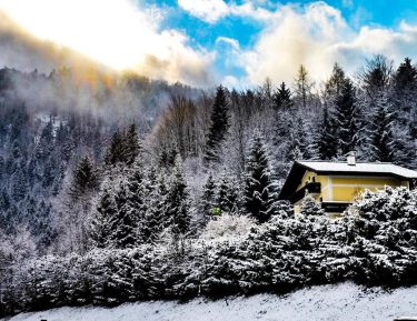 Snowy woods – Follow me for more @fedegon06 – #lightroom – #snow #snowy #sun…