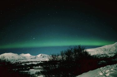 Northern lights. Seen with the #greyline tour #iceland???????? #iceland #fotografie #travelphotography #traveling #travelgram #travel…