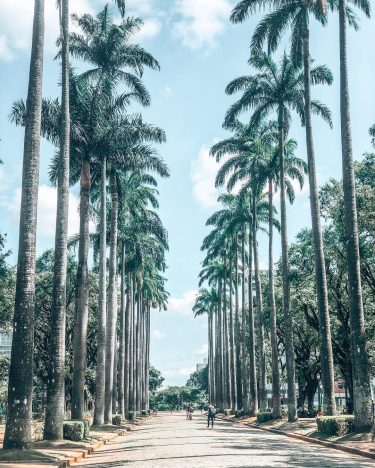 ???????? Um dos meus lugares favoritos de BH: Circuito Cultural da Praça da Liberdade!…