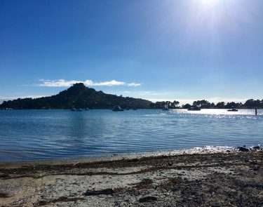 Pauanui Beach, New Zealand #csmidlifegapyear #memories #travel #travelblogger #travelbug #tbt #photo #adventure #amemoryaday #photooftheday…