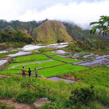 #ig_philippines #travelphilippines #ricefields #travelphotography #travelokaph #pilipinasdestination #bnesimppl