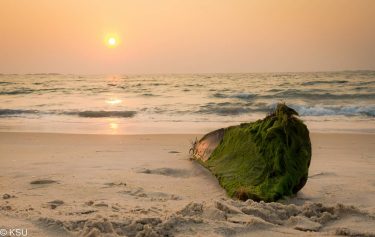 Adopt the pace of nature , her secret is I spoke about my love…