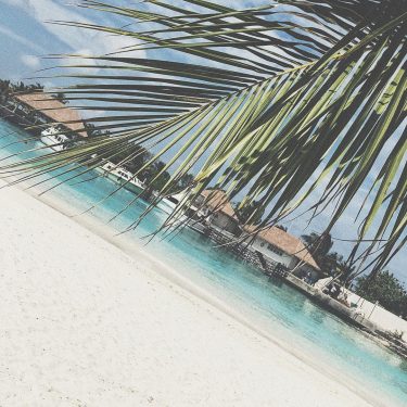 – Back to the Maldives I go – – – – – – #cabincrew…