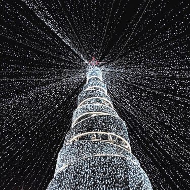 Minsk,Christmas tree