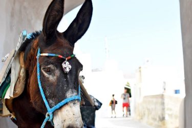 Tras nuestra visita a Megalochori, un pueblecito pintoresco y con encanto, retomamos la marcha…