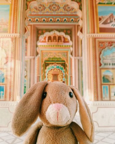 One of my favourite things to do is definitely playing around with the focus.…