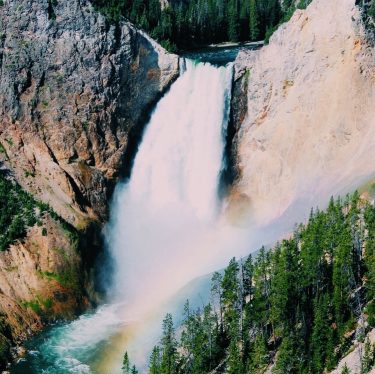 Majestic! #nationalparks #nationalpark #yellowstone #explore #adventure #roadtripusa #roadtrippers #wanderlust #travelblogger #travel #familytravel #familytravel #vacation…