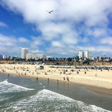 #california #santamonica #beach #sea #honeymoon #trip #holiday #holidays #travel #travelblogger #travelphotography #traveller #ontheroad #followforfollowback…