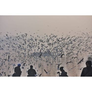 Yamuna Ghat Scenes. #nadaanparindey . . . . . . . . #pixeldiary #apfmagazine…